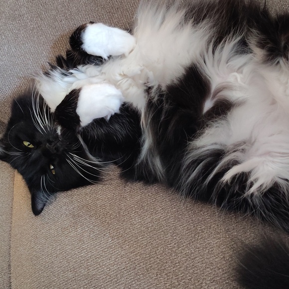 🚨🚨 Share Show🚨🚨🚨Hand Crafted Items &More🚨 Stay 🟢 - Picture 5 of 12